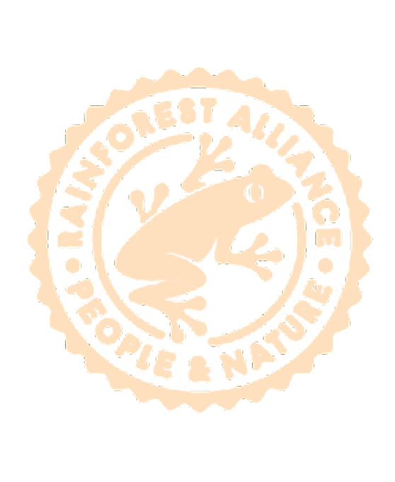 Set of six circular icons with different designs on a white background
